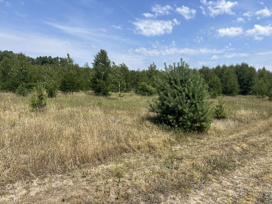 Działki budowlano-rekreacyjne , Malanów - Widok 3