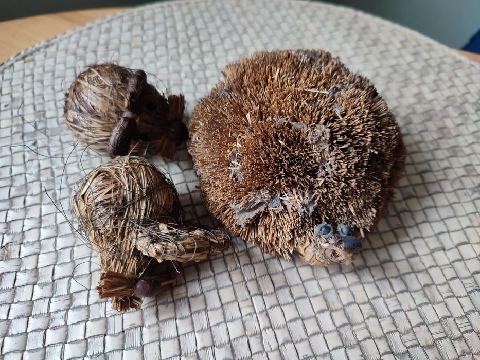 Jeż i myszy z trawy morskiej