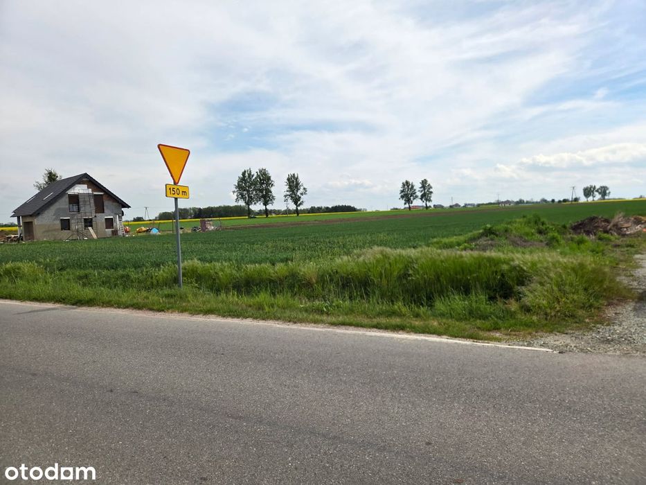 Działki siedliskowe blisko Wrocławia 6km od granic miasta - Widok 5