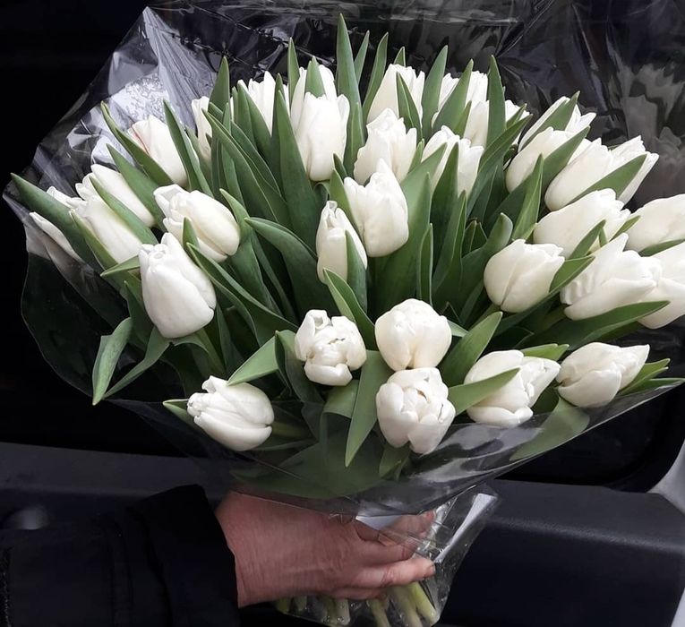 Тюльпаны!!! 51шт, 101шт,201шт,тюльпани,цветы,букеты,букети,квіти, тюль