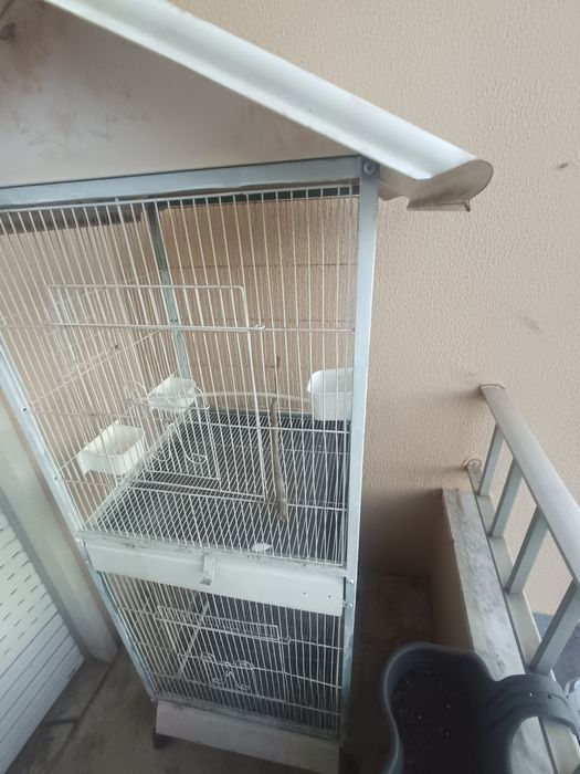 Viveiro  para aves