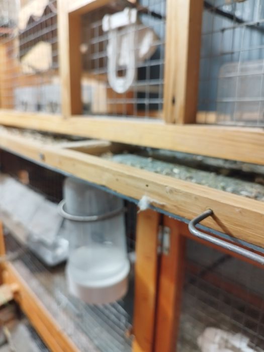 Gaiola de 1 metro para pássaros