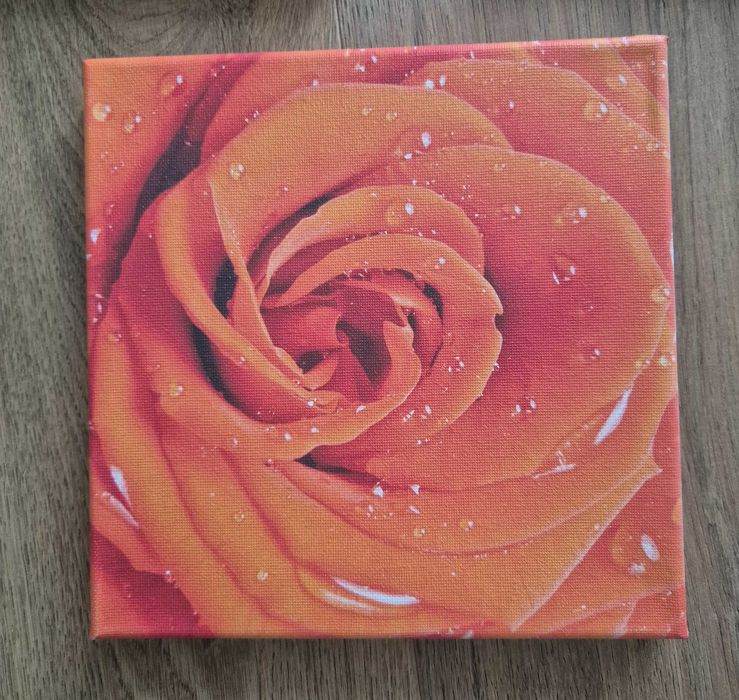 Trzy obrazy 20x20cm