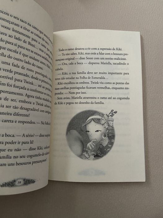 Livro Academia das Fadas Brilhantes 7