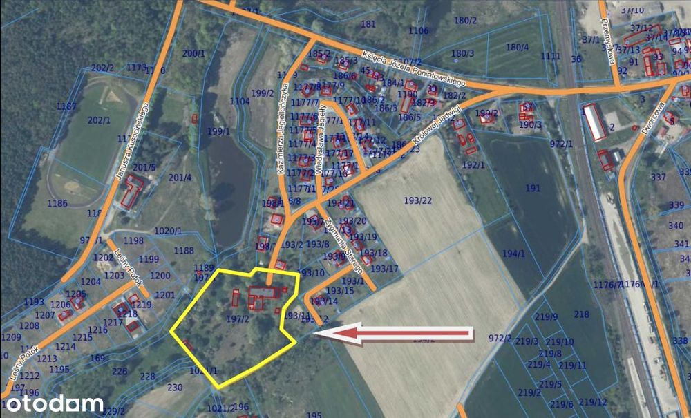 Syndyk sprzeda prawo użytkowania wieczystego gruntu w Mieszkowicach