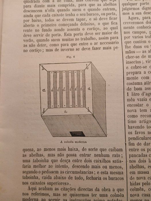 Gazeta dos Lavradores, Maio de 1883