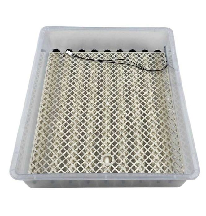 Інкубатор автоматичний Птаха 64-BLK (220/12V)