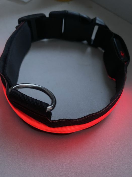Ошейник собачий с подсветкой красного цвета