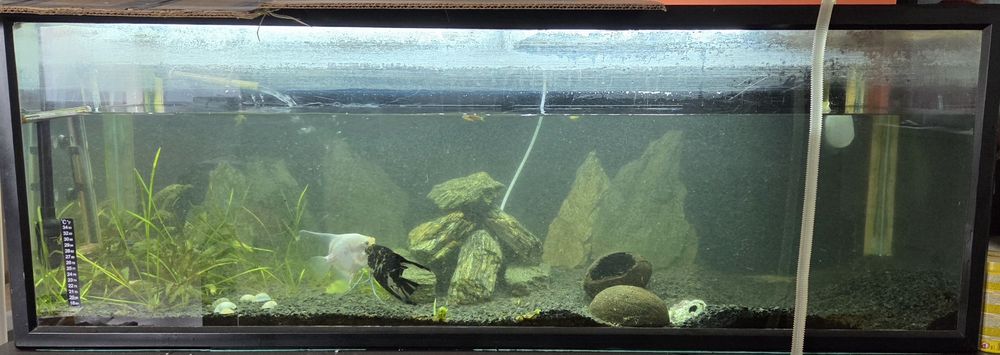 Akwarium 280l 138x40x50