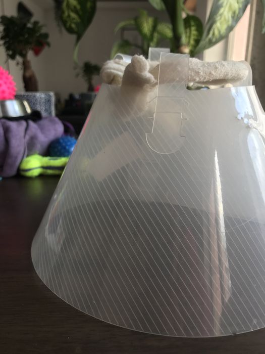 Vários acessórios/produtos/roupa/comida e brinquedos p/ cães e gatos