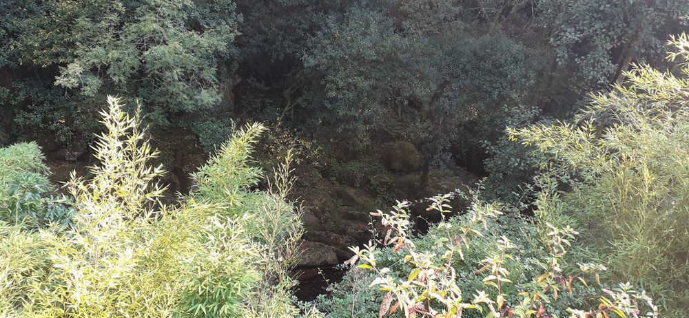 Na margem do Rio Coura