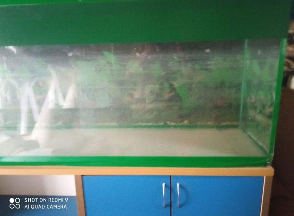 Акваріум/тераріум 400л з тумбочкою