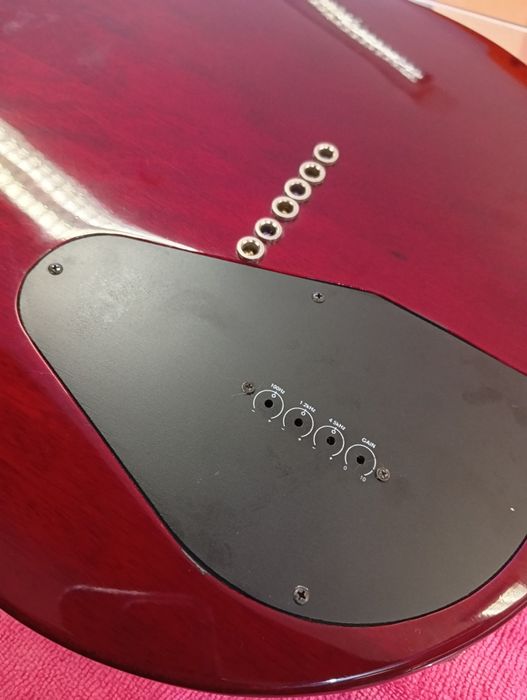 Hamer Semi Hollow Duo CS com Piezo