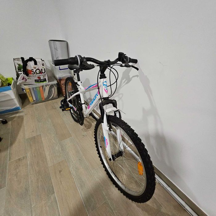 Bicicleta roda 24
