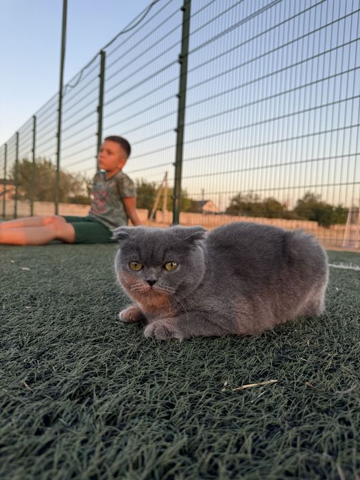 Кекс неймовірний хлопчик