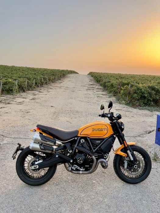 Ducati Scrambler  1100 Tribute Pro