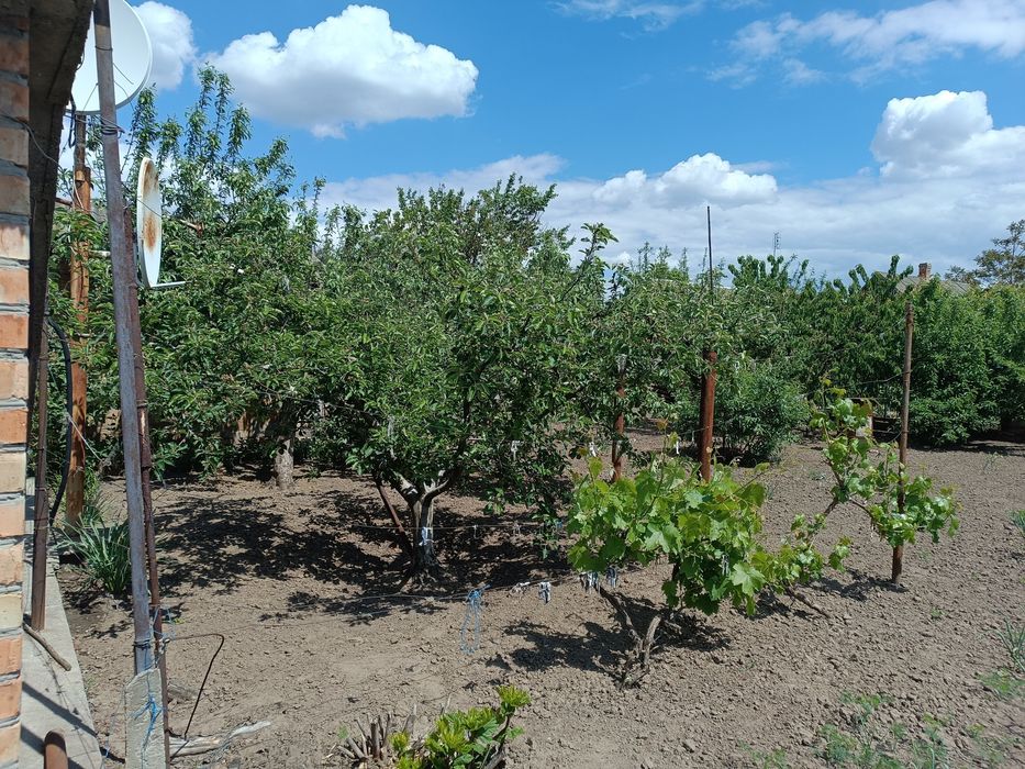 Дом  5 минут от центра