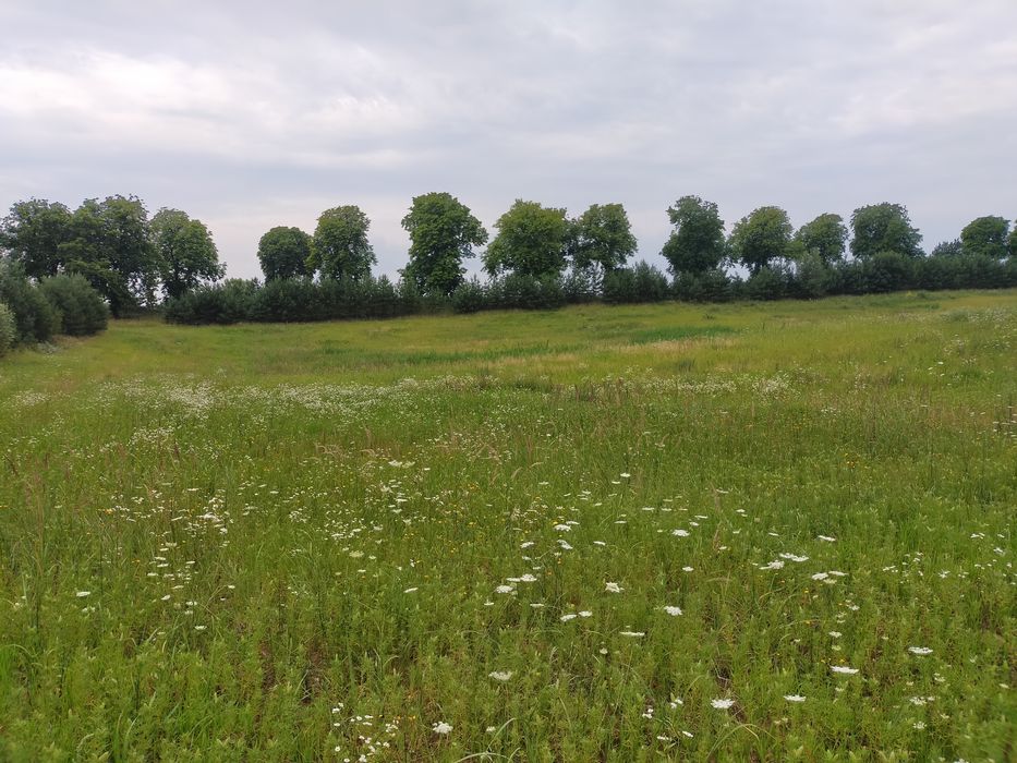 Działka budowlana 1500m²