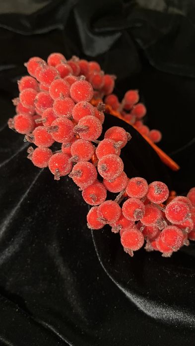 Віночок з калини на голову