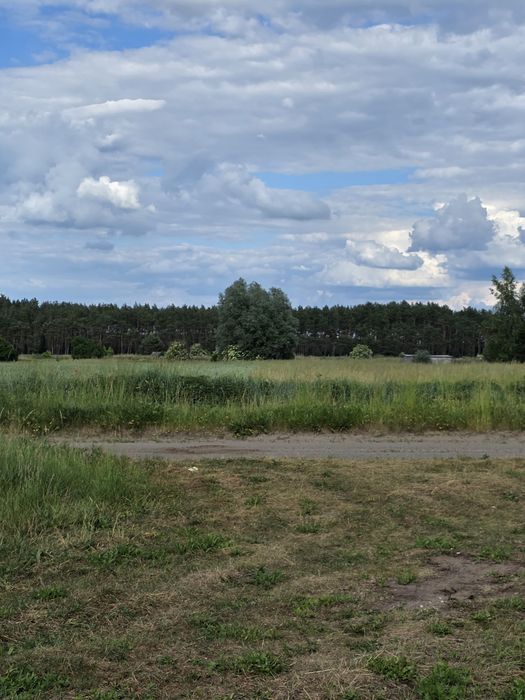 Działka w Koszęcinie Z ROZPOCZĘTĄ BUDOWĄ! - Widok 4