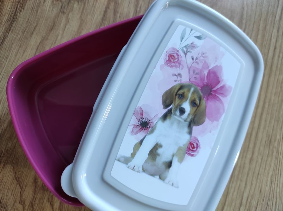 Pudełko śniadaniowe, lunch box z firmy Paso