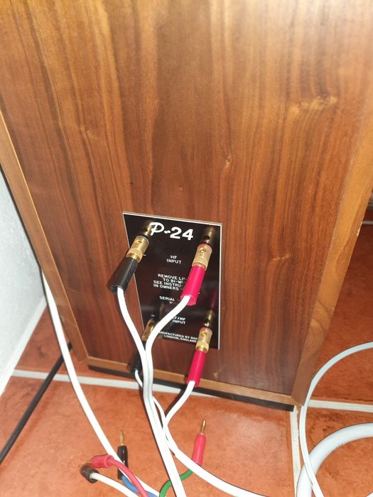Colunas Rogers P24