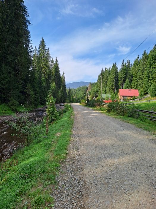 Синевир Карпати відпочинок в Синевирській косиці