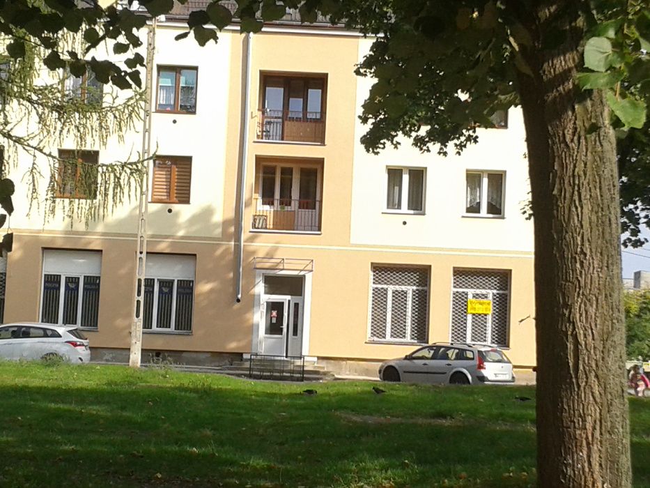 Zdjęcie 5