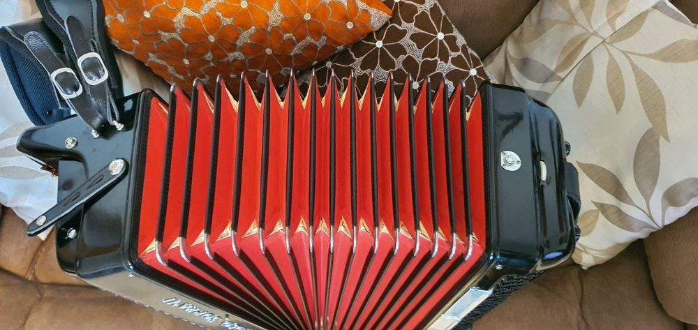Acordeon relíquia imperdível.