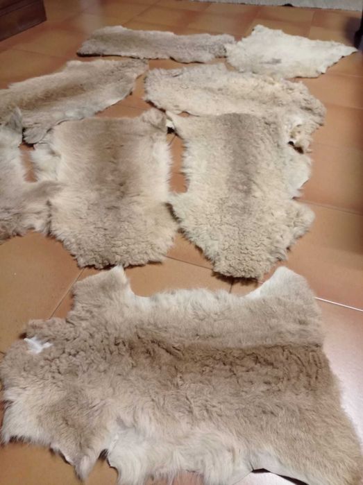 Peles Cordeiro em ótimo estado (55 peles)