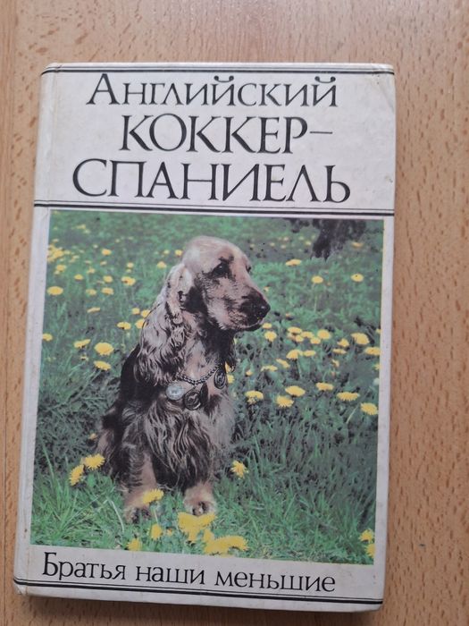 Английский коккер спаниель