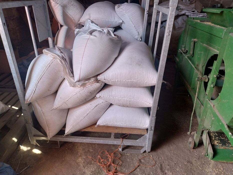 Pszenica ozima Jęczmień ozimy kukurydza sucha dla kur