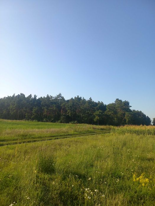 Земельна ділянка під забудову.с.Гланишів