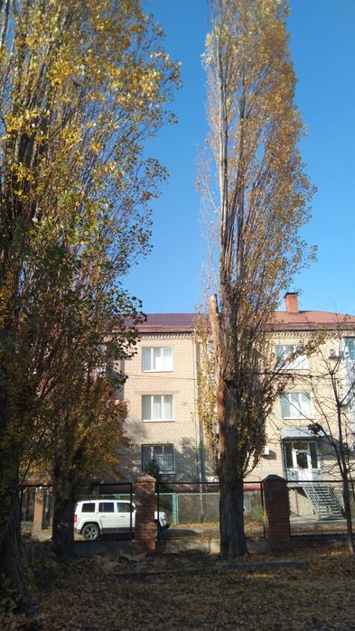 Обрезка деревьев и спил под корень