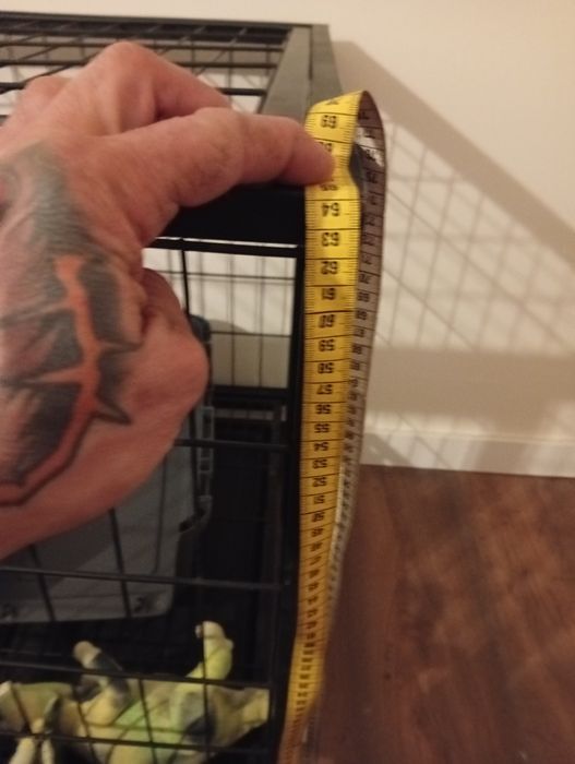 Jaula para cães  com rodas