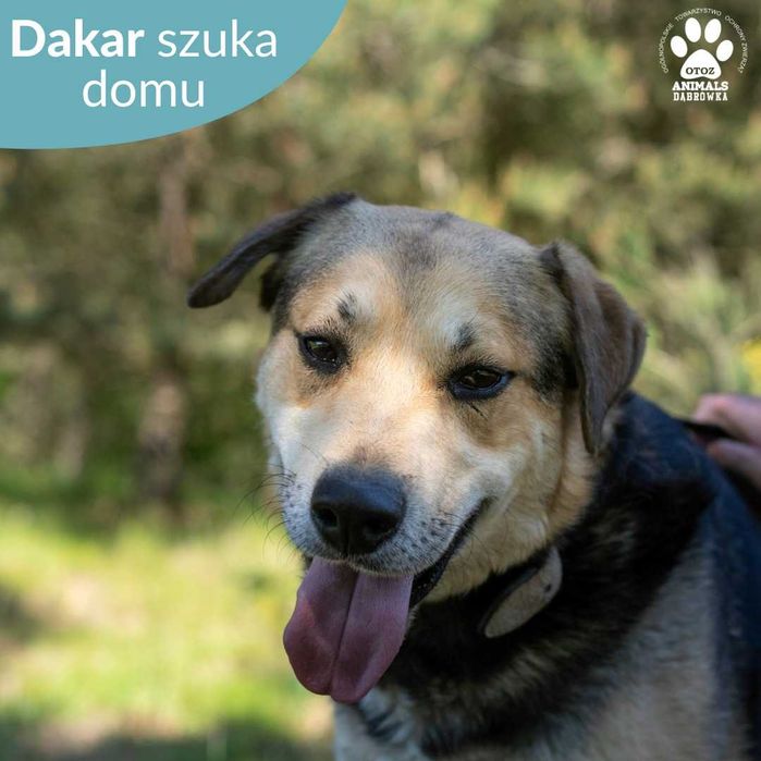 Dakar czeka na Ciebie