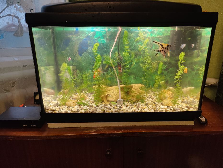 Обміняю акваріум на меньший