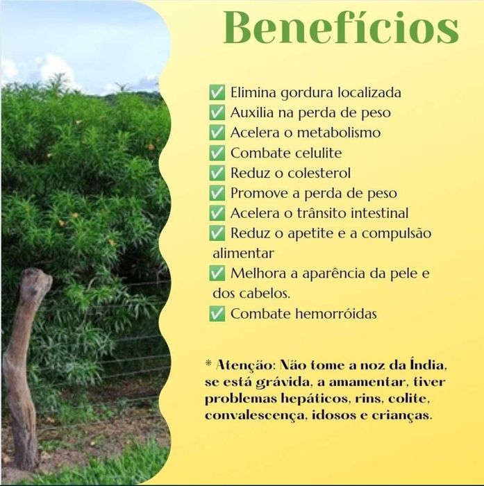 PROMOÇÃO - Emagrecimento 1 mês/15€
