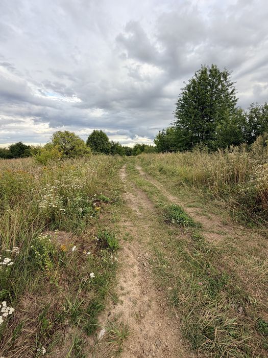 Продаж земельної ділянки під будівництво село Годовиця