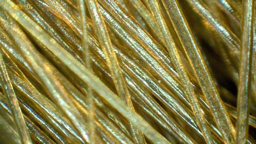 Badanie trichoskopowe w domu klienta