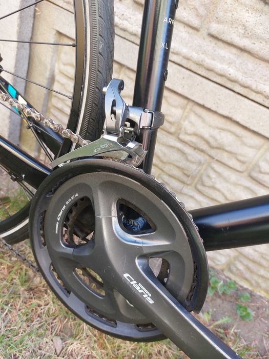 Rower Focus Arriba - rama 60cm