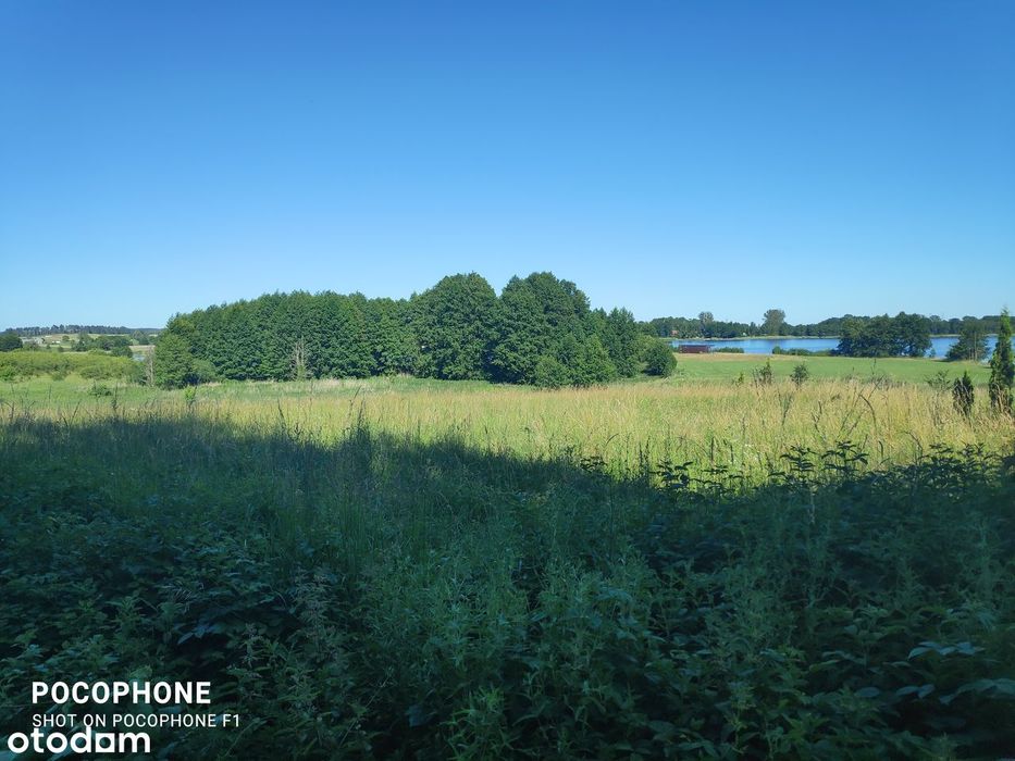 8968 m2 z linią brzegową- wyjątkowa działka nad jeziorem Dybowskim
