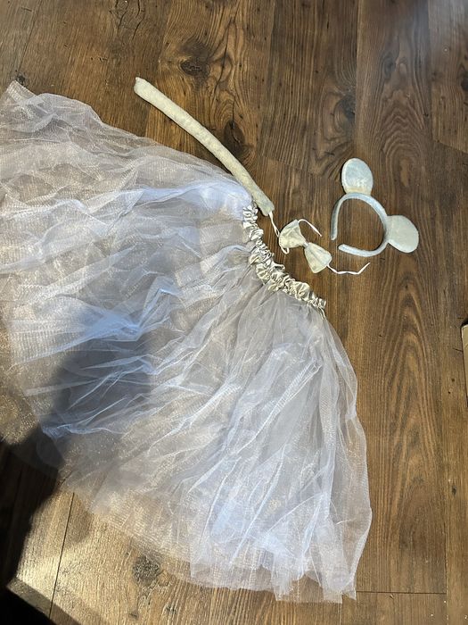 Stroj myszki na karnawał