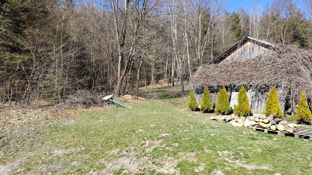 Działka Grabnik Krasnobród Roztocze 30a - Widok 4