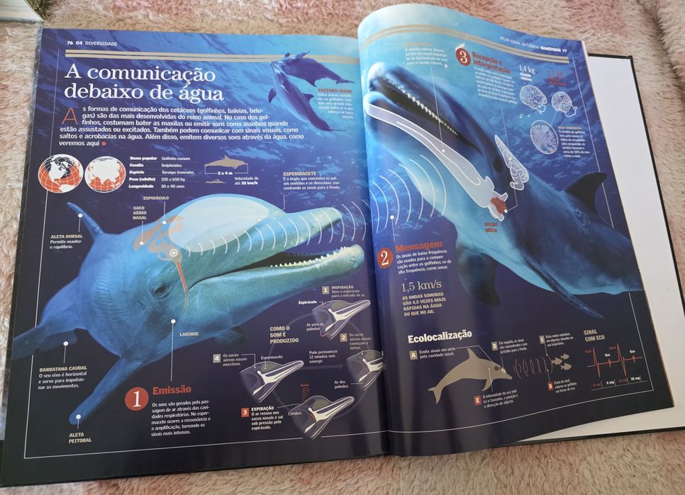 Atlas Visual da Ciência - Mamíferos
Edição de luxo, ca