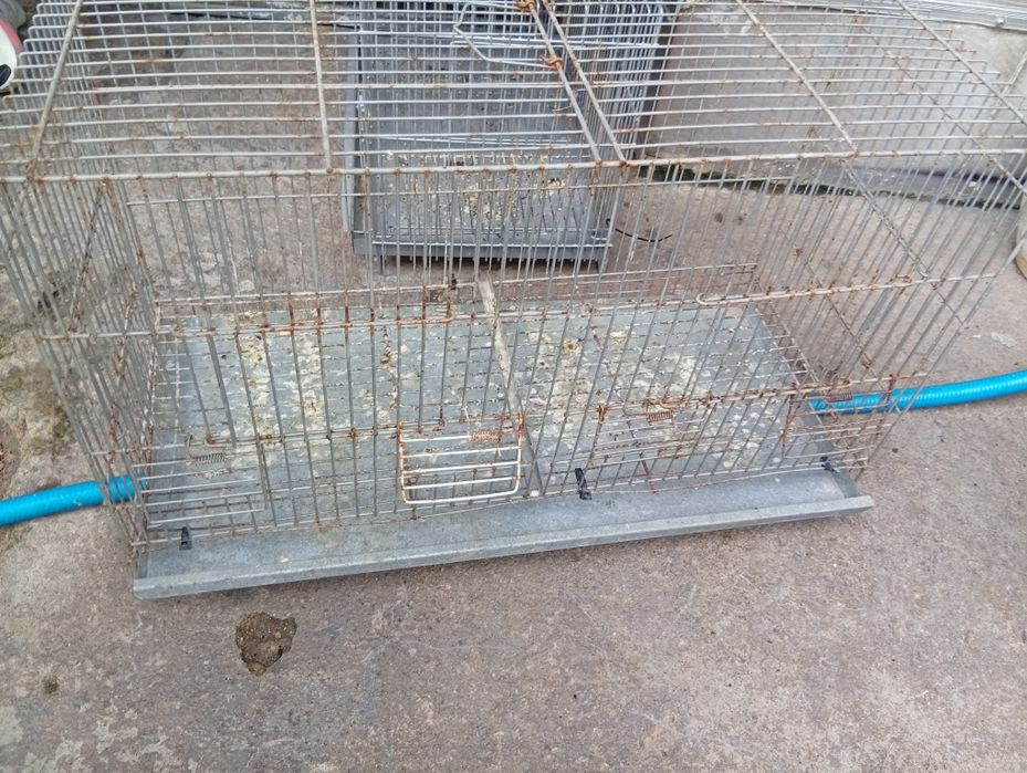 Vendo gaiolas de criação galvanizadas