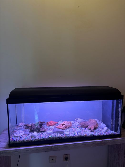 Aquário como novo