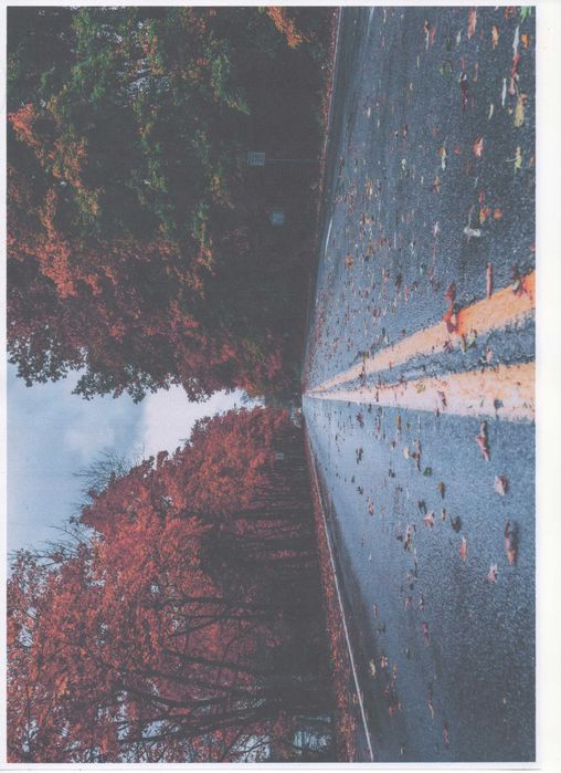 МФУ Epson Stylus TX409 с КПК