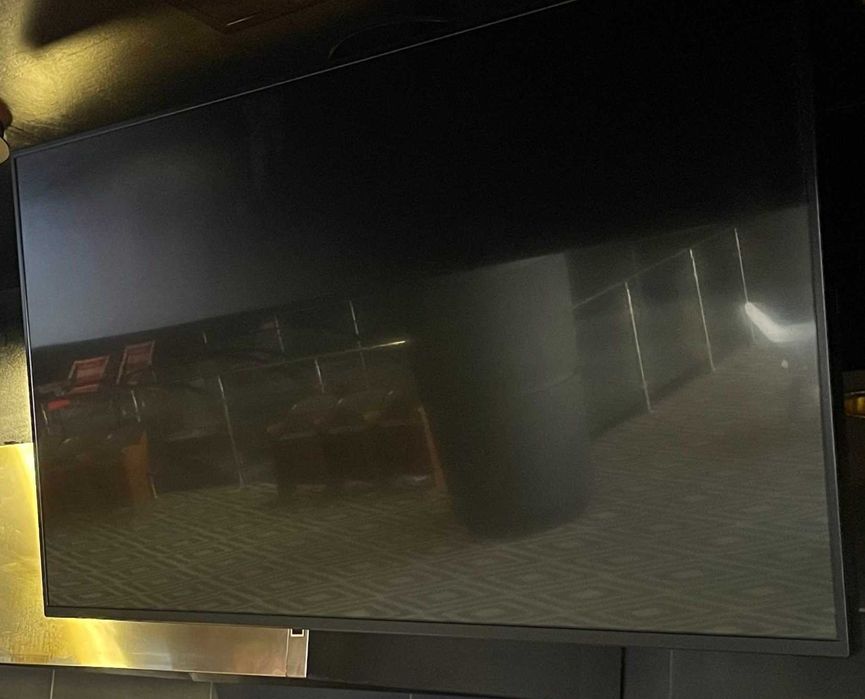 Profesjonalny Monitor SHARP PN-Y555