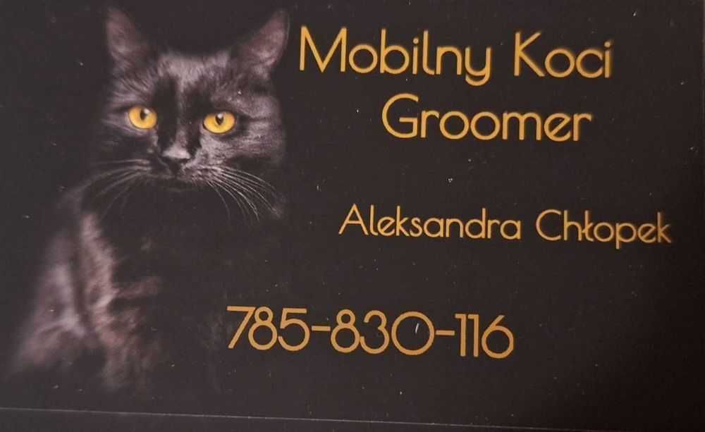 GROOMER -KOCI FRYZJER - Poznań i okolice